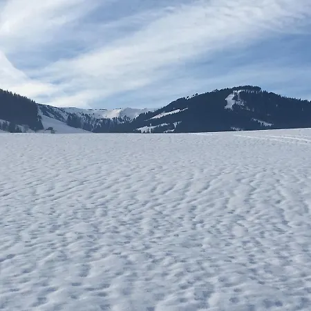 Casa vacanze Chalet Anna Xl Leogang